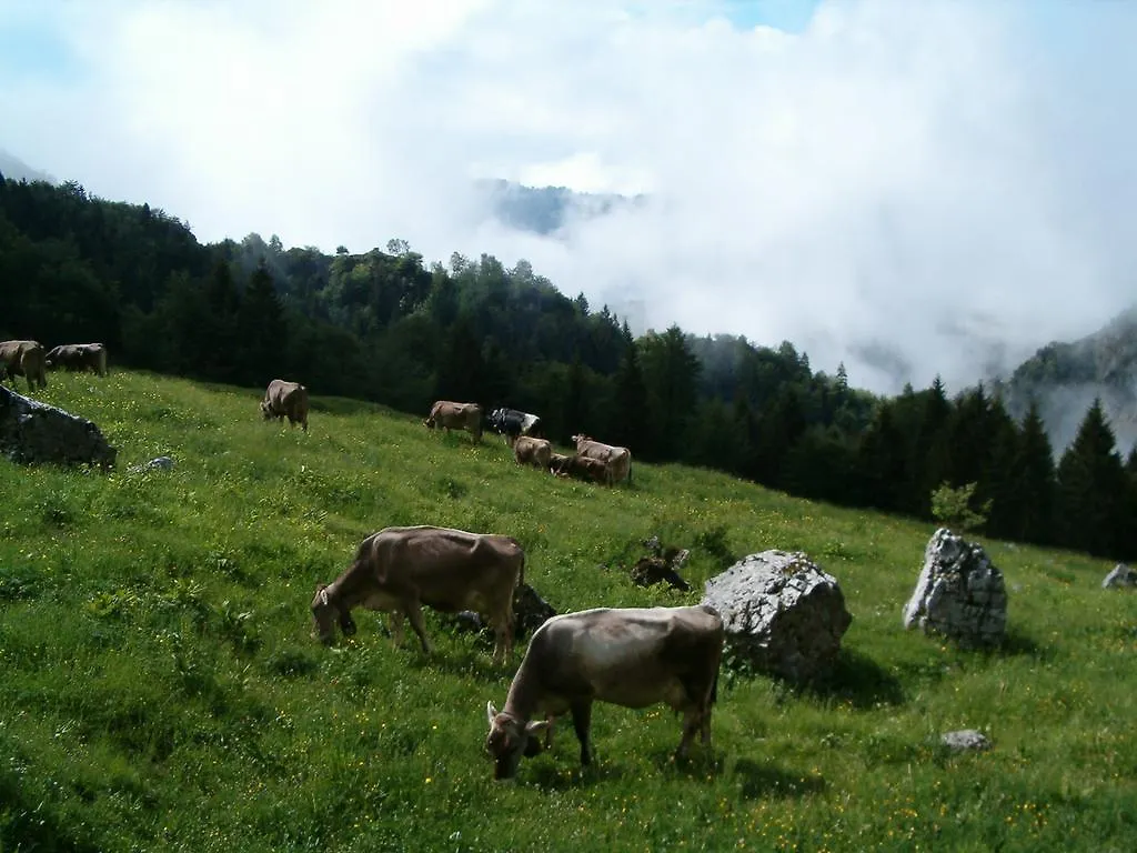 Agriturismo La Zangola Tremosine